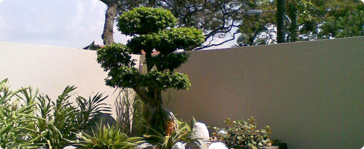 Landscape Management