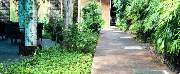 Landscape Solutions
