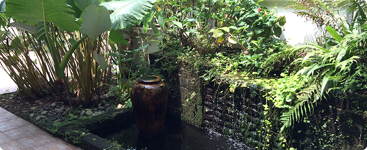 Landscape Design